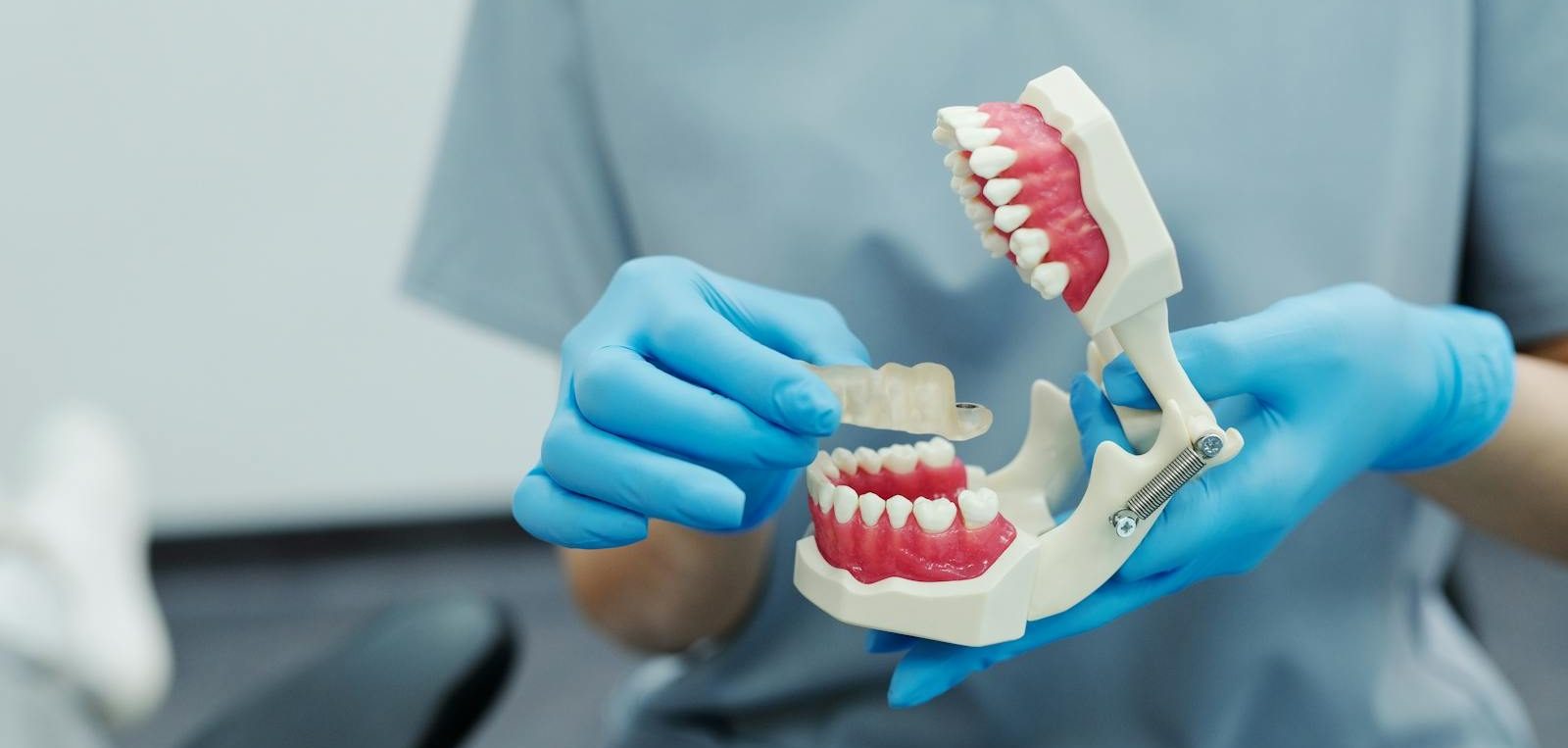 Close-up of a dental professional demonstrating with a teeth model in a clinic setting.